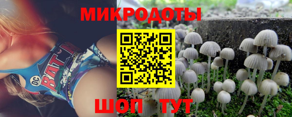 Псилоцибиновые грибы Magic Shrooms  Вход с VPN  Северск 