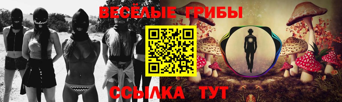 Псилоцибиновые грибы MAGIC MUSHROOMS Северск